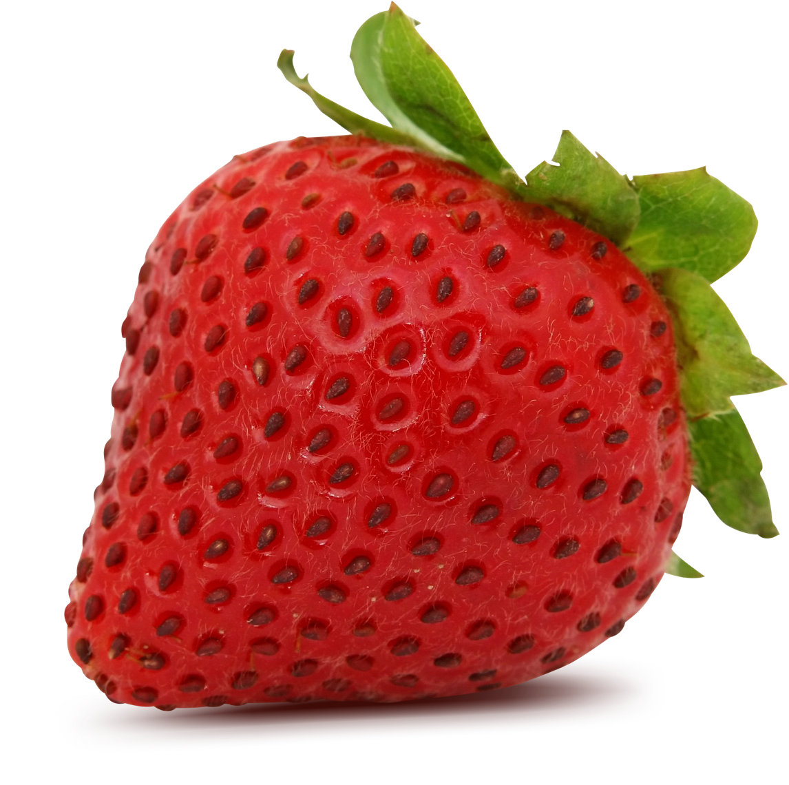 關於我們 草菓農場strawberry Field