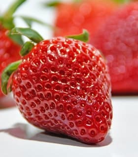 除了新鮮大口吃，還可以自己動手做草莓大福！