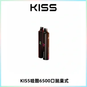 KIS5WAGOO哇酷6500口拋棄式 | 自由混搭雙口味 | 雙芯組合