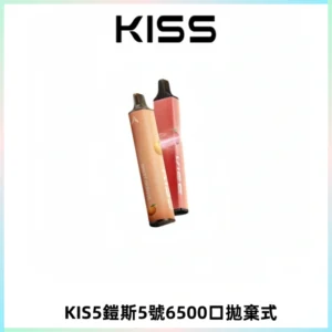 KIS5鎧斯5號一次性6500口磁吸式拋棄式電子煙#自由混搭#